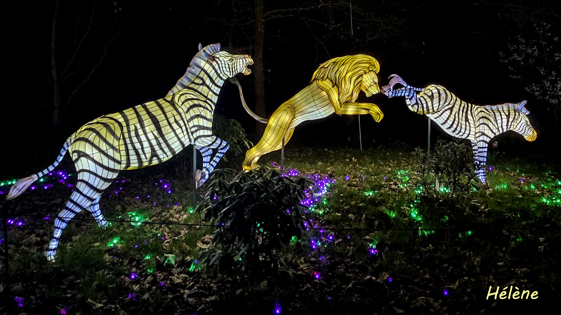 THOIRY -Illumination ,  Lumières sauvages 2025-2026